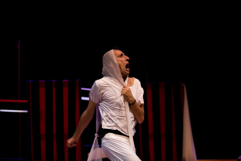 ANELANTE- gallery - nerospinto