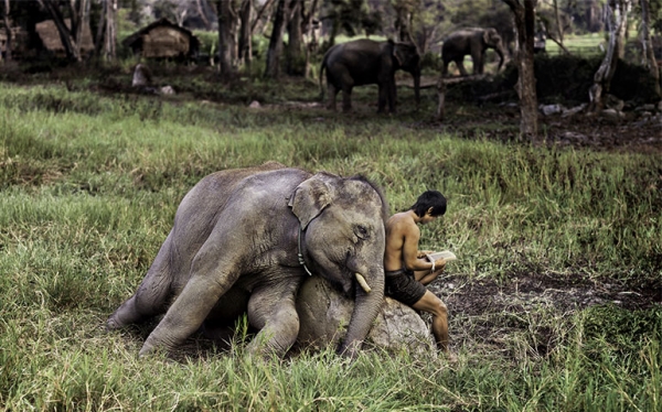 Steve McCurry - Chiang Mai, Thailandia 2010|Steve McCurry - Al Ahmadi, Kuwait 1991|||