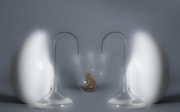 Sinfonie di forma e colore: la mostra fotografica &ldquo;Falene&rdquo; di Aqua Aura|||