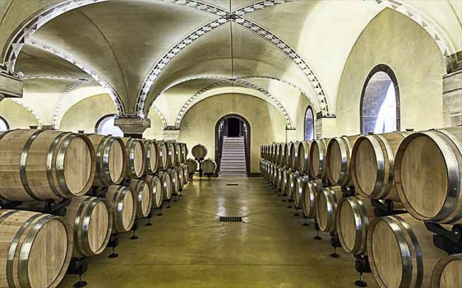 Alla scoperta dei vini della Valpolicella: Tenute SalvaTerra