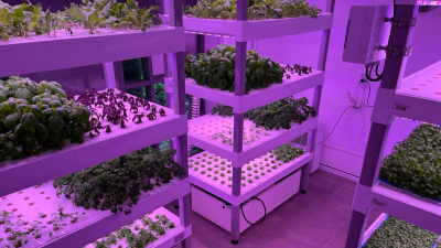 Ho visto il futuro dell'agricoltura a Host, si chiama CULTEVO|||