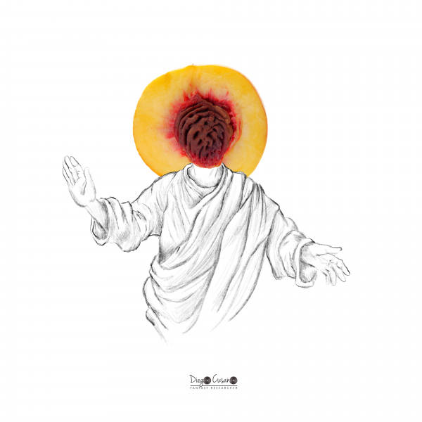 EFFETTO WOW: al Mudec la mostra di Diego Cusano del food artist Diego Cusano|||