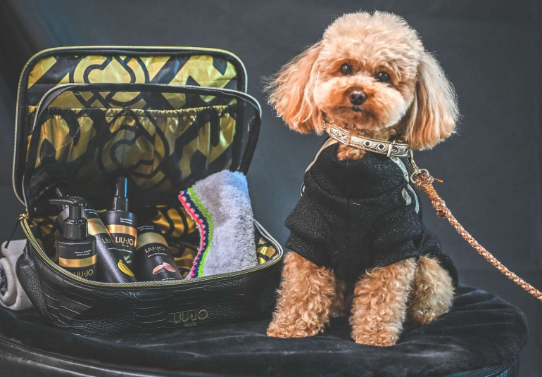 CityLife ospita la seconda edizione di Only For Pet Lovers|||