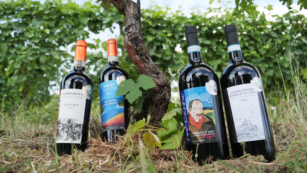 Cantina Teo Costa: i giardini dell&rsquo;oro e dell&rsquo;argento|||